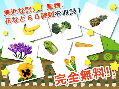 みんなの植物カード図鑑 幼児 子供向け 教育 英語 Applications Sur Google Play