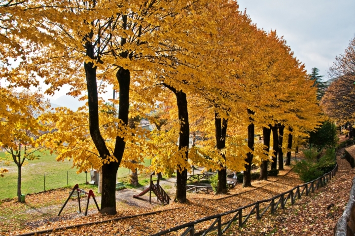 Game and autumn in Tuscany di SWAT