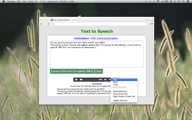 Text to Speech App chrome extension