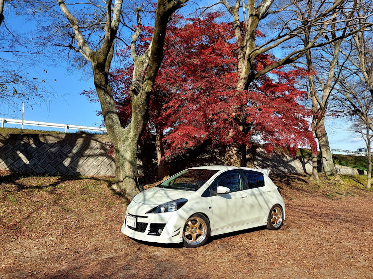 ヴィッツの岡山・酒津公園・workwheels・ゴールドホイール・ツーリング動画最高😁に関するカスタム事例の投稿画像1枚目