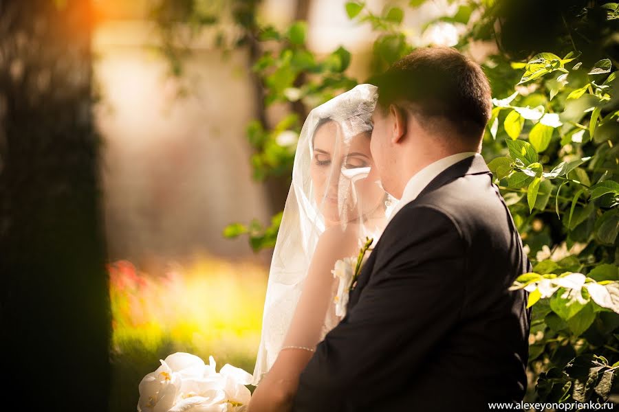 Fotógrafo de casamento Aleksey Onoprienko (onoprienko). Foto de 25 de julho 2013