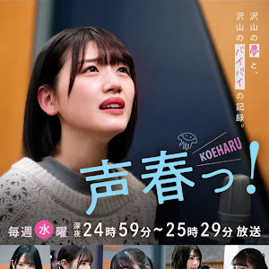 ヴィッツ NCP13