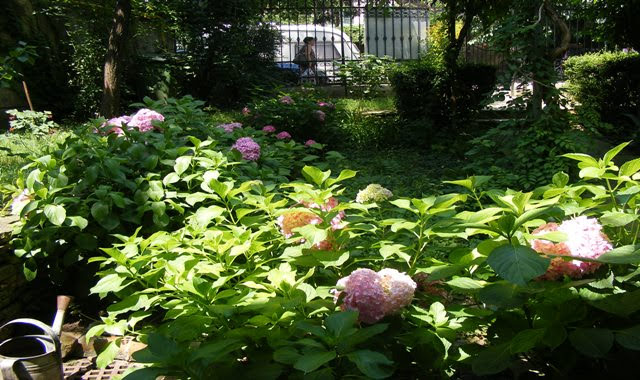 GARDEN OF PALLADY MUSEUM BUCHAREST