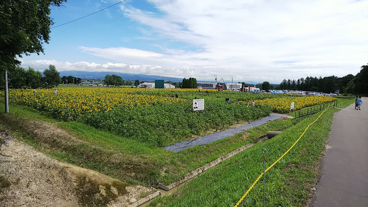 ムラーノのホリデースタイル・おまわり祭・北竜町・留萌市・沼田町に関するカスタム事例の投稿画像6枚目