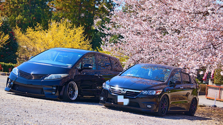 エスティマのDIY・ドライブ・洗車・桜とコラボに関するカスタム事例の投稿画像4枚目