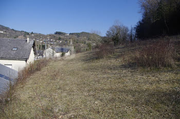 terrain à Banassac (48)