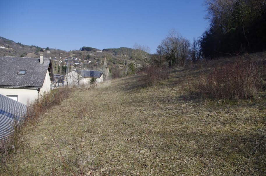 Vente terrain  2900 m² à Banassac (48500), 38 000 €