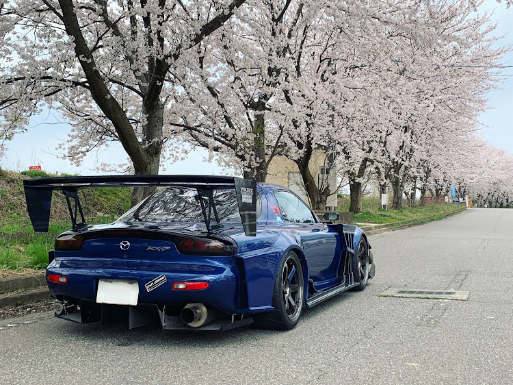 RX-7の桜とコラボに関するカスタム事例の投稿画像11枚目
