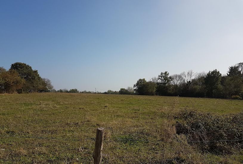  Vente Terrain à bâtir - 420m² à Vallet (44330) 