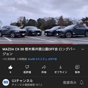 CX-30 DMEP