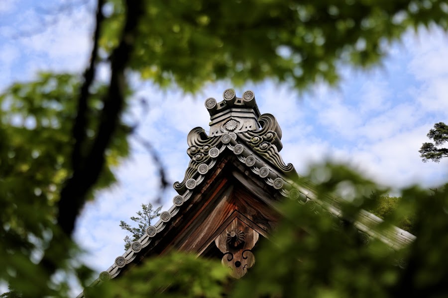 Miyajima, Itsukushima, świątynia Daisho-in