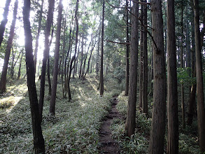 山頂まであと少し