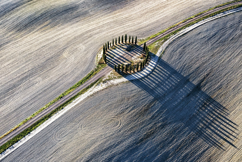 SHADOW THE CIRCULAR TREE di GoForIT