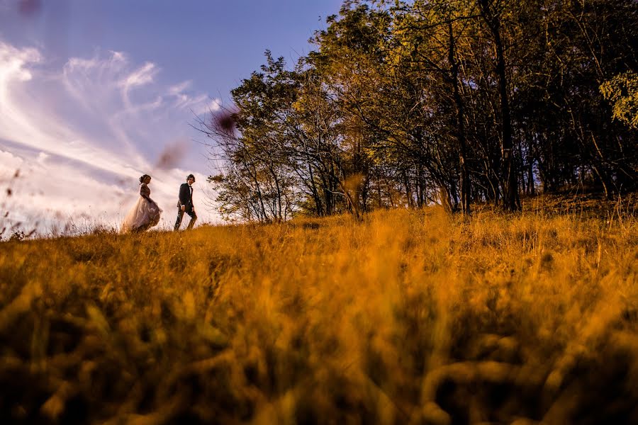 Fotografo di matrimoni George Stan (georgestan). Foto del 7 ottobre 2017