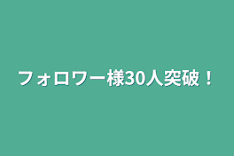 フォロワー様30人突破‼