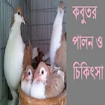 Cover Image of Herunterladen কবুতর পালন ও চিকিৎসা 0.0.1 APK