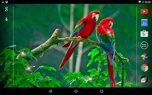 Birds 3D Live Wallpapers