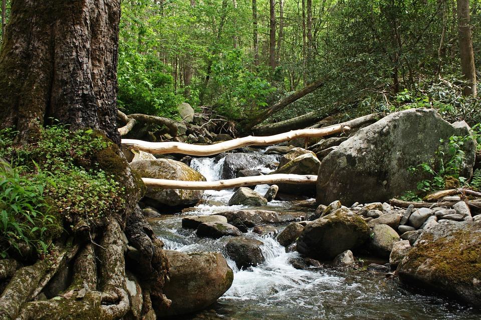 Free Gatlinburg Tennessee photo and picture