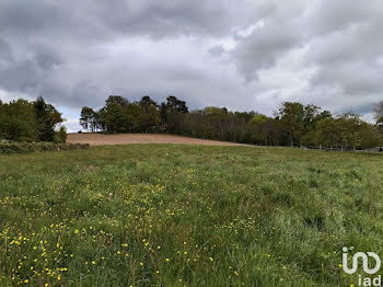 terrain à Eyjeaux (87)