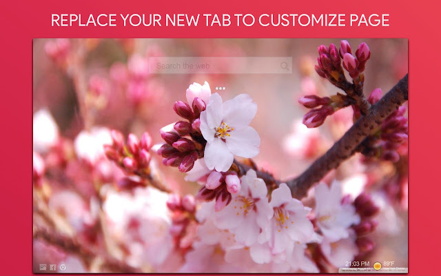 Cherry Blossom Wallpaper HD Custom New Tab