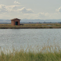 La casetta rossa di 