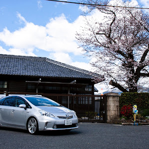 プリウスα ZVW40W