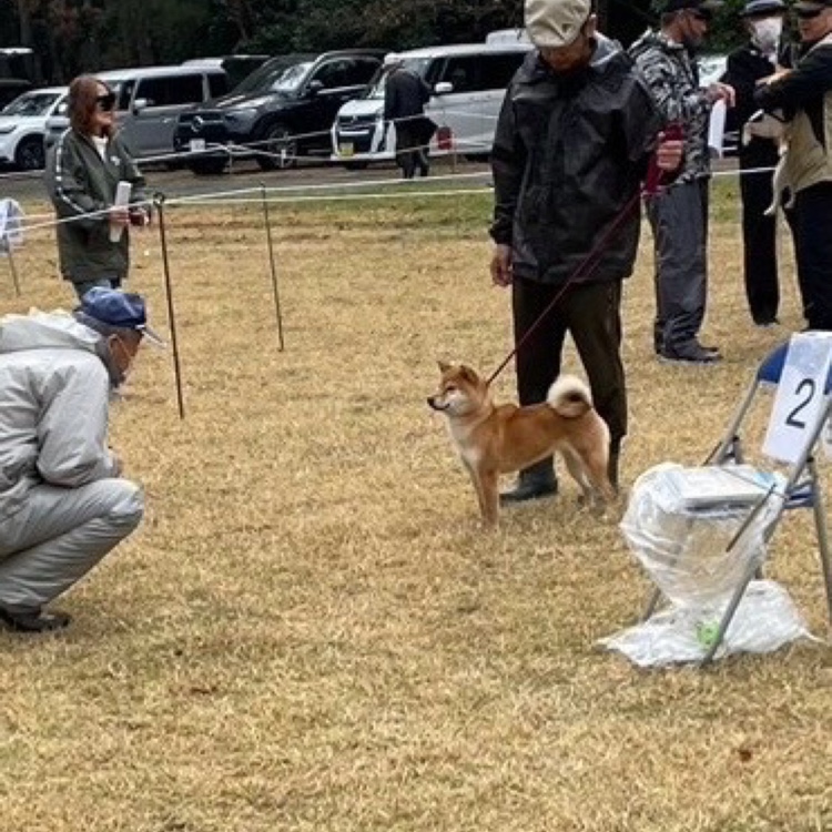 の投稿画像3枚目