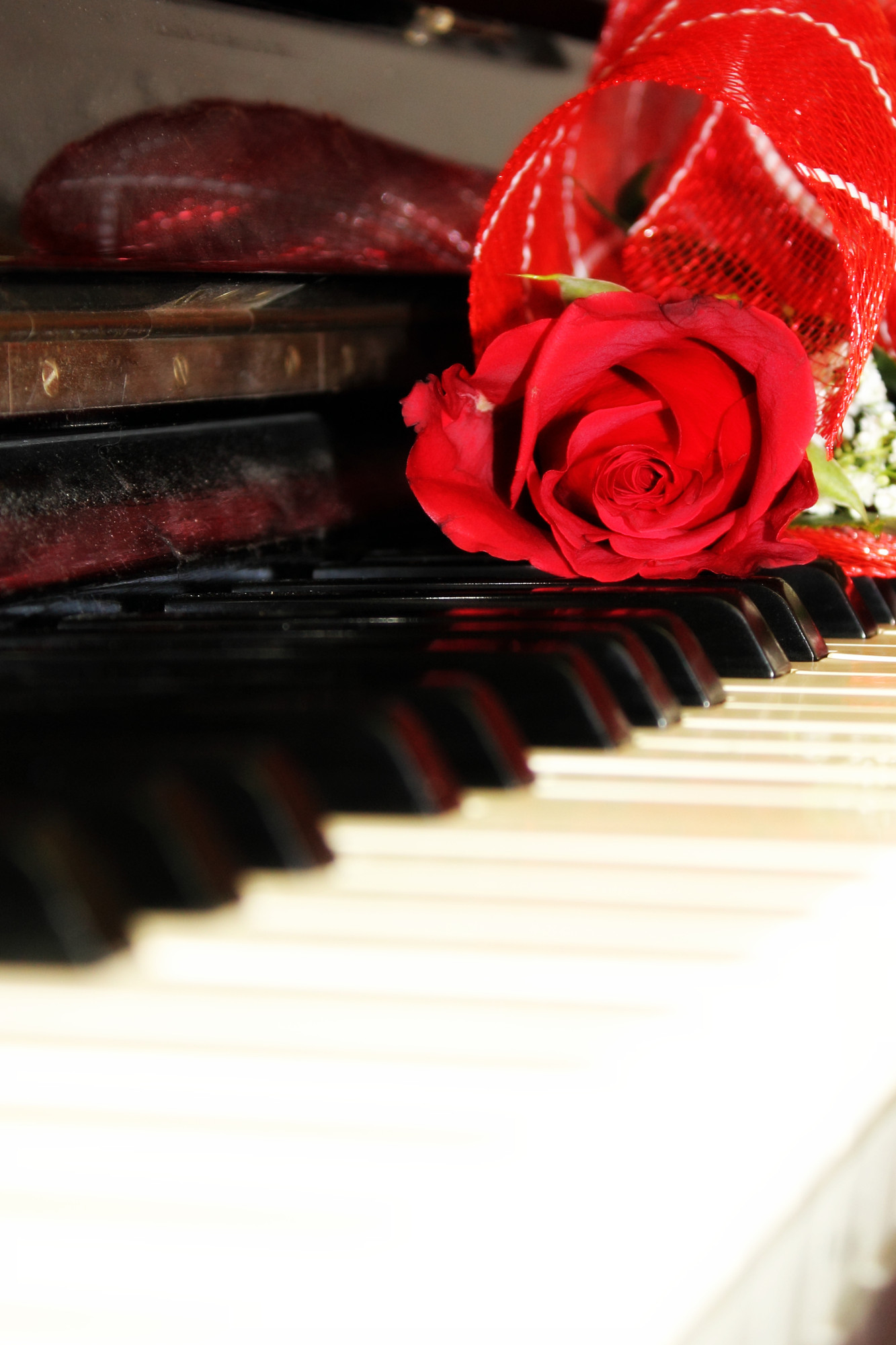 A rose on a piano di Julia Vincenzi