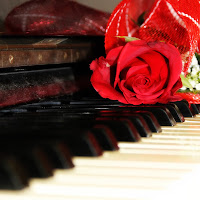 A rose on a piano di 