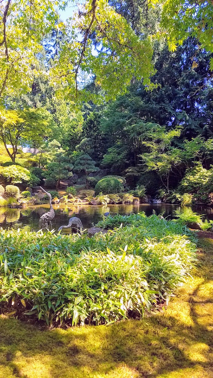 Visiting the Portland Japanese Garden