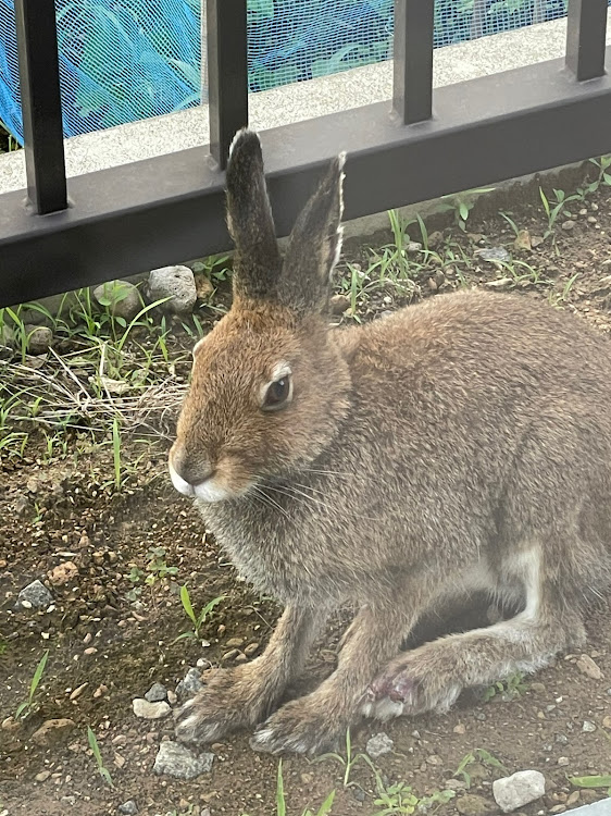 の投稿画像5枚目