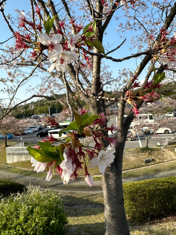 の投稿画像20枚目