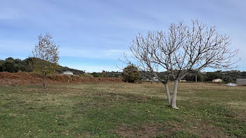 terrain à batir à Santa-Lucia-di-Moriani (2B)