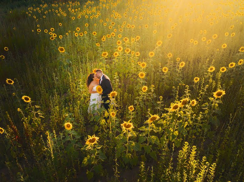 Photographe de mariage Alessandro Colle (alessandrocolle). Photo du 13 décembre 2017