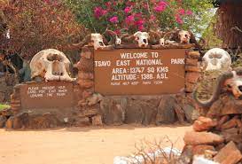 2 people have died after a plane crashed in Tsavo National park.