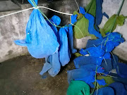 Monkeys found in bags hanging on a rope are pictured in an abandoned house in Saraburi Province, Thailand February 17, 2022.