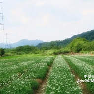 賴媽媽傳統豆花