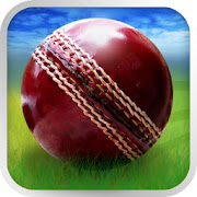 Cricket WorldCup Fever 15.0 Icon