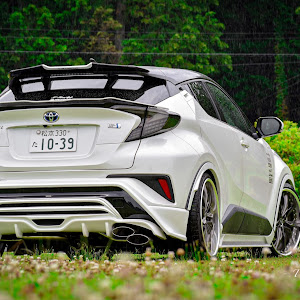 C-HR ZYX10