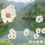 Cover Image of Download 300 classic Cantonese Songs free music 3.8.9 APK