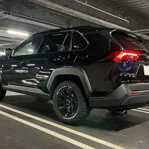 RAV4 MXAA54