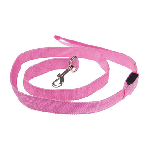 Title 6, LED Luminous Traction Belt Dog Leash for safe a...