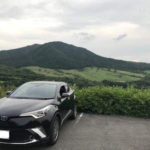 C-HR ZYX10