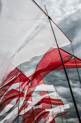 ...Flags.. di utente cancellato