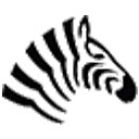 Zebra Wallpaper NewTab Zebras - FreeAddon