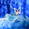 Abstract Butterflies Wallpaper icon