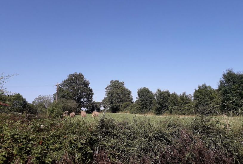  Vente Terrain à bâtir - 2 685m² à Vouvant (85120) 