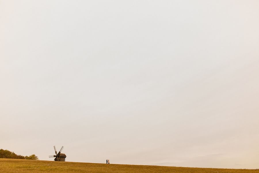 Fotografo di matrimoni Artem Dolzhenko (artdlzhnko). Foto del 24 ottobre 2016