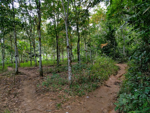 Lepoh Waterfall