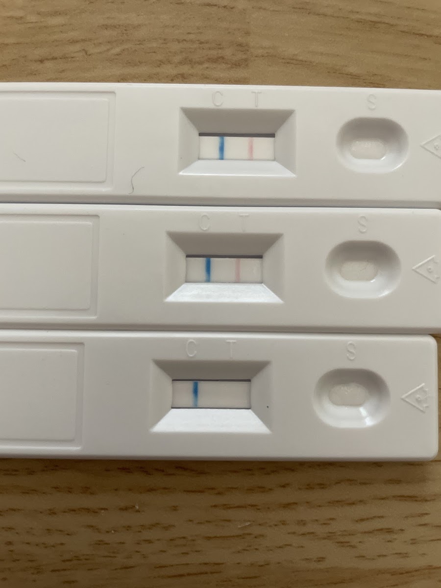 Results of GlutenTox test strips for The Fish House. Too one is fries, middle one is fried catfish and the bottom result is Cole slaw. A Nima sensor also returned a positive for gluten.